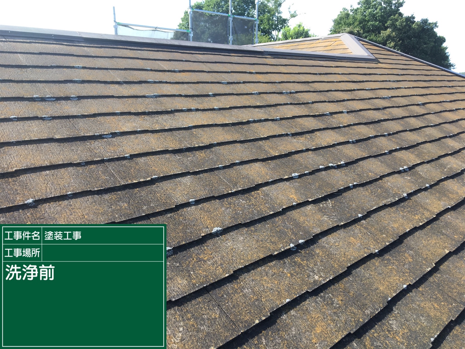 高圧洗浄前屋根(2)300016