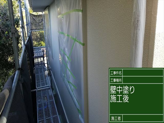 外壁中塗り_0421_M00028 (2)