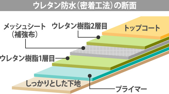 ウレタン防水(密着工法)の断面