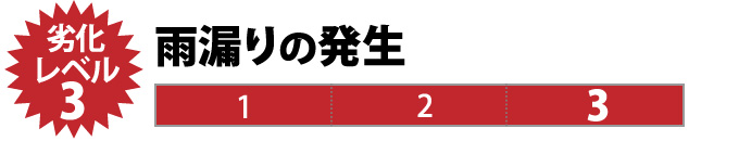 劣化レベル3:雨漏りの発生