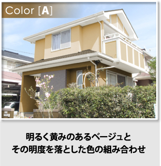 明るく黄みのあるベージュとその明度を落とした色を組み合わせたAパターン