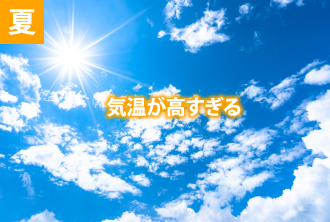 夏は気温が高すぎる