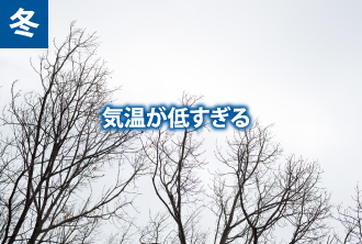 冬は気温が低すぎる