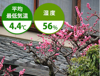 3月は平均最低気温4.4℃ 湿度56%
