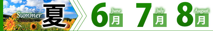 夏 6月7月8月