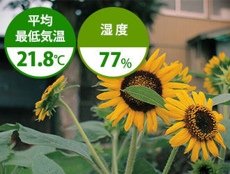7月は平均最低気温21.8℃ 湿度77%
